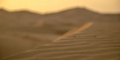 Curiosidades desierto Sahara