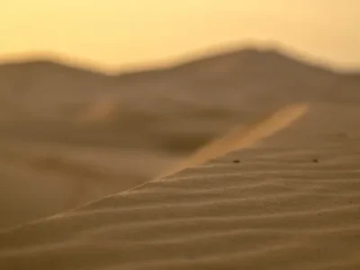 Curiosidades desierto Sahara