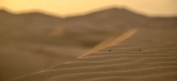 Curiosidades desierto Sahara