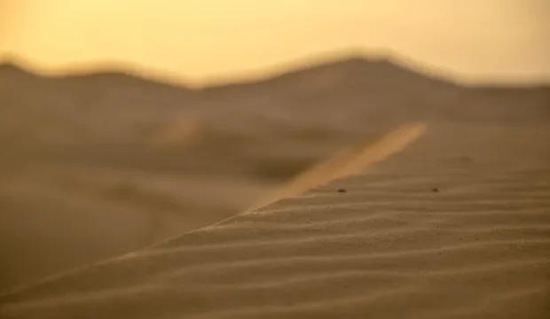 Curiosidades desierto Sahara