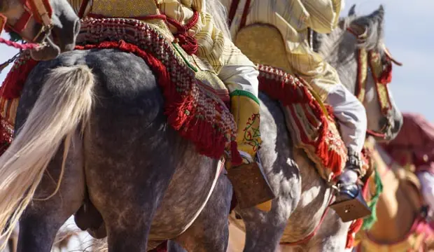 Todas las fechas importantes a tu alcance. Festivales en Marruecos, competiciones en Marruecos, fiestas en Marruecos, festivos en Marruecos, etc