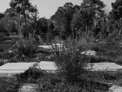 Cementerio para perros de Tánger
