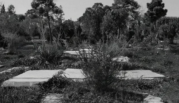Cementerio para perros de Tánger