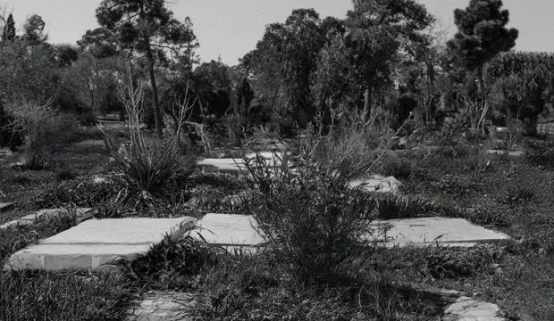 Cementerio para perros de Tánger Cementerio para perros de Tánger