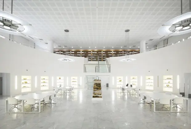 En la Universidad Politécnica Mohamed VI (UM6P) el espíritu innovador traspasa fronteras