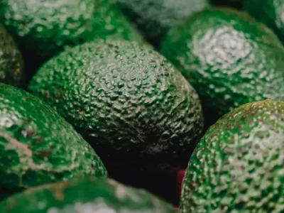 aguacate en Marruecos