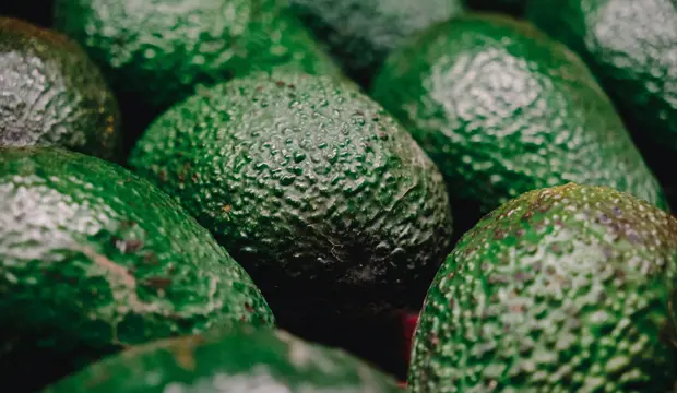 aguacate en Marruecos aguacate en Marruecos