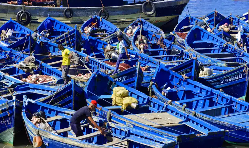 Información de Marrakech y su entorno. Essaouira