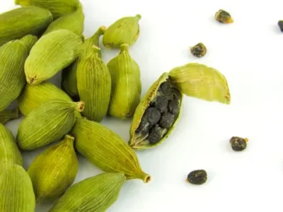 plantas medicinales marroquíes