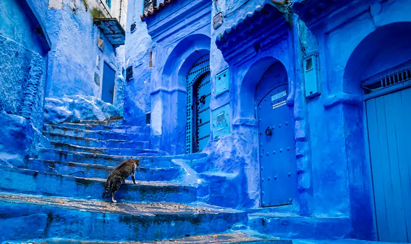 Calles azules de Chaouen, encantador destino de Marruecos