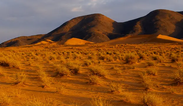 Desierto de Erg Ouzina