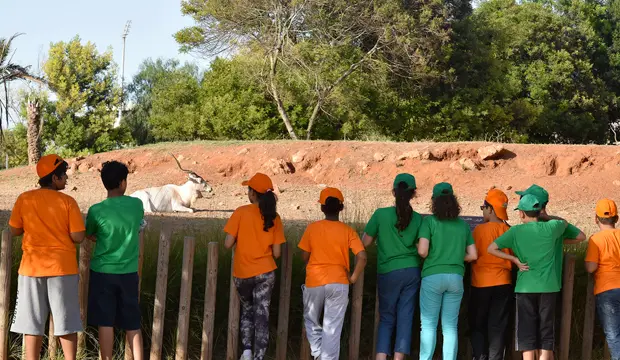 Es habitual que numerosos grupos escolares visiten el Zoo de Rabat