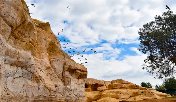 Las montañas del Atlas del Zoo de Rabat es otro de los lugares que definen a este jardín zoológico