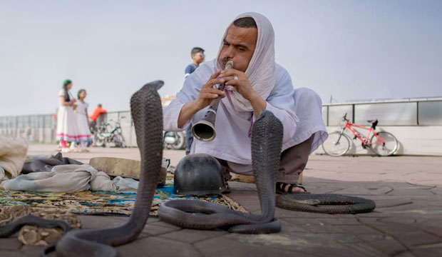 Guia de turismo en Marrakech Marruecos