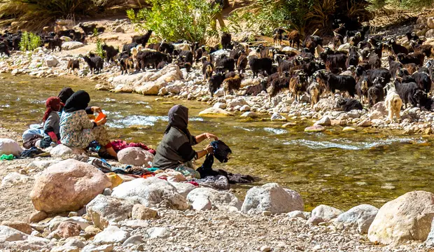 Mujeres locales lavando ropa y rebaño junto al cauce del río todra en Tinerhir